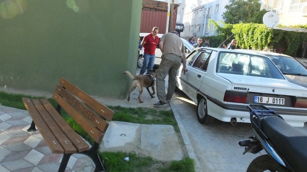 Burhaniye’de Polis Uyuşturucu Satıcılarına Geçit Vermiyor