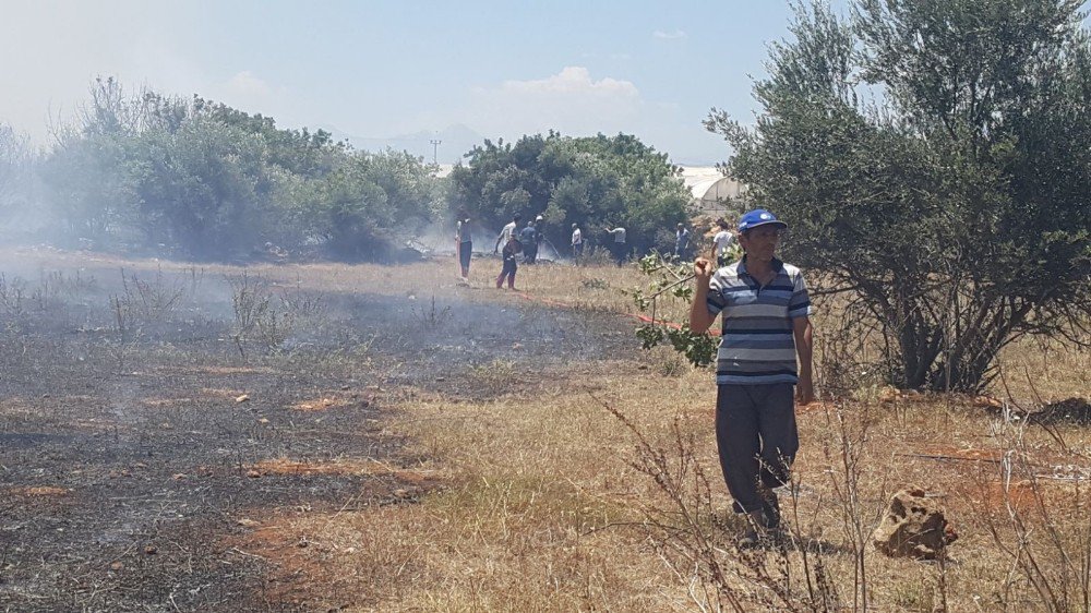 Antalya’da Çalılık Yangını