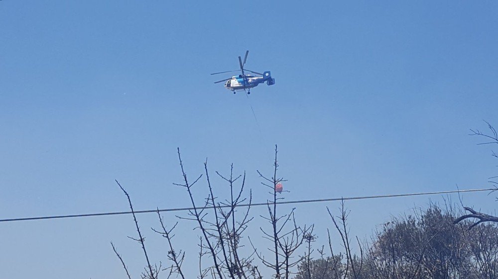 Antalya’daki Çalılık Yangını: 5 Ev Boşaltıldı