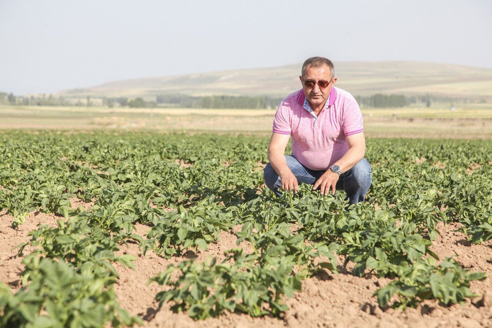 Anadolu’da Ürünler Filizlendi