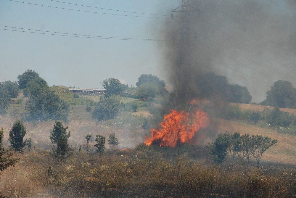 Çanakkale’de Arazi Yangını