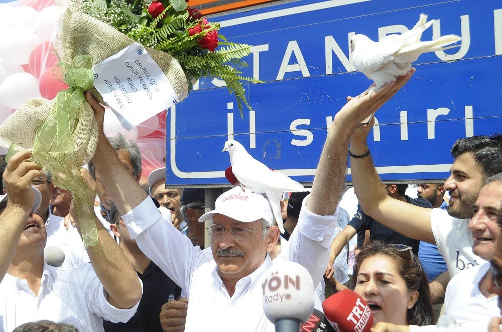 Chp Lideri Kılıçdaroğlu’nun Kafasına Güvercin Kondu