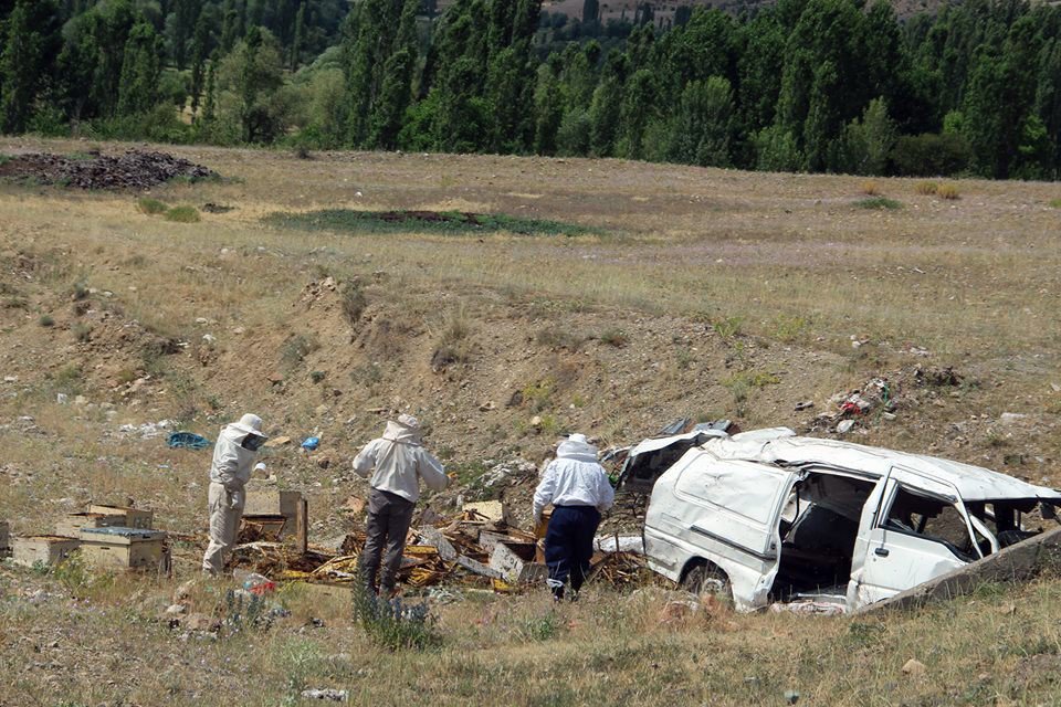 Kaza Yapan Araçtaki Arılar Korku Saçtı