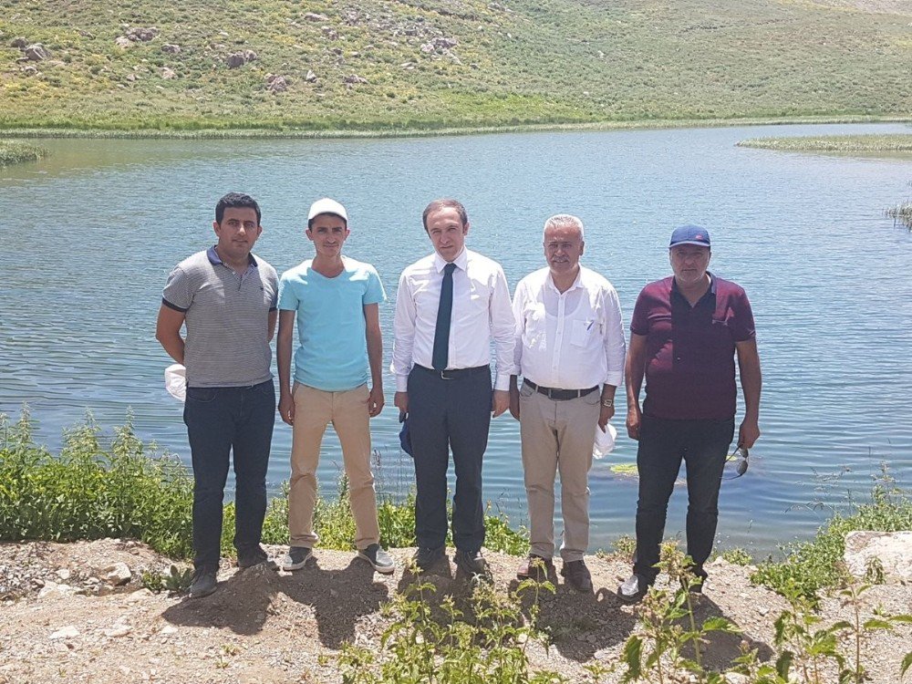 Başkan Vekili Epcim, 3000 Rakımdaki Çalışmaları Denetledi