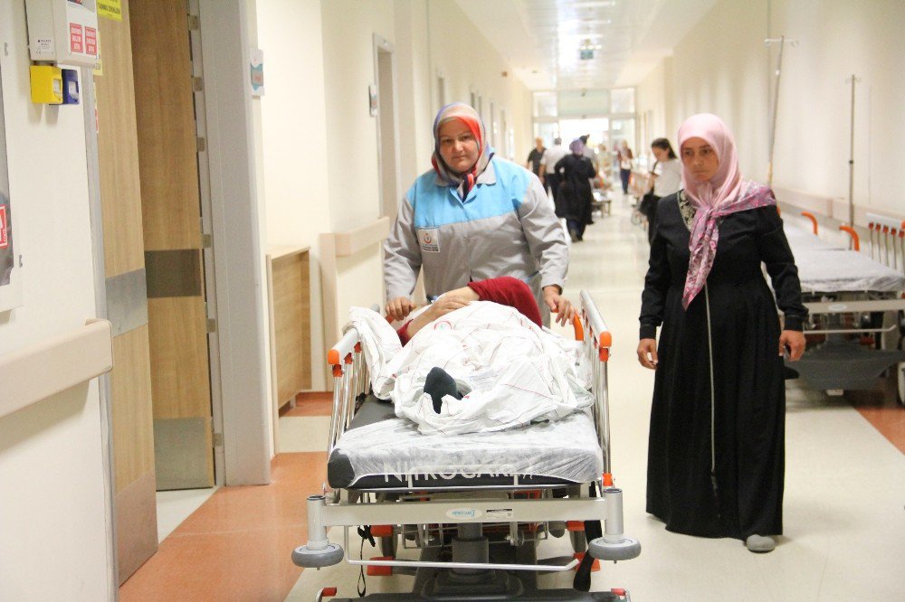 Ağaçtan Düşen Kadın Ağır Yaralandı