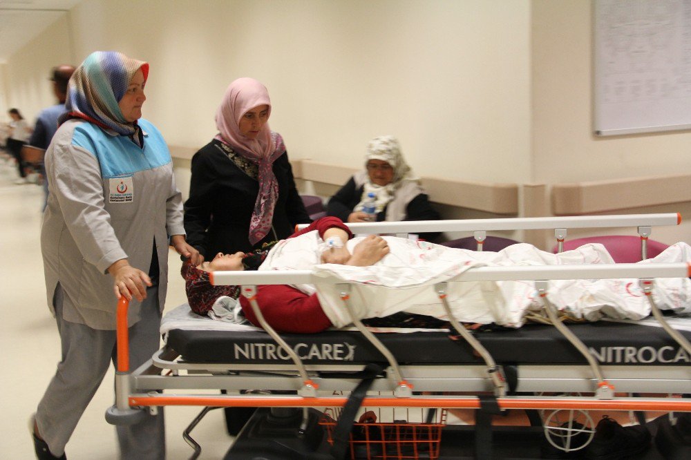 Ağaçtan Düşen Kadın Ağır Yaralandı