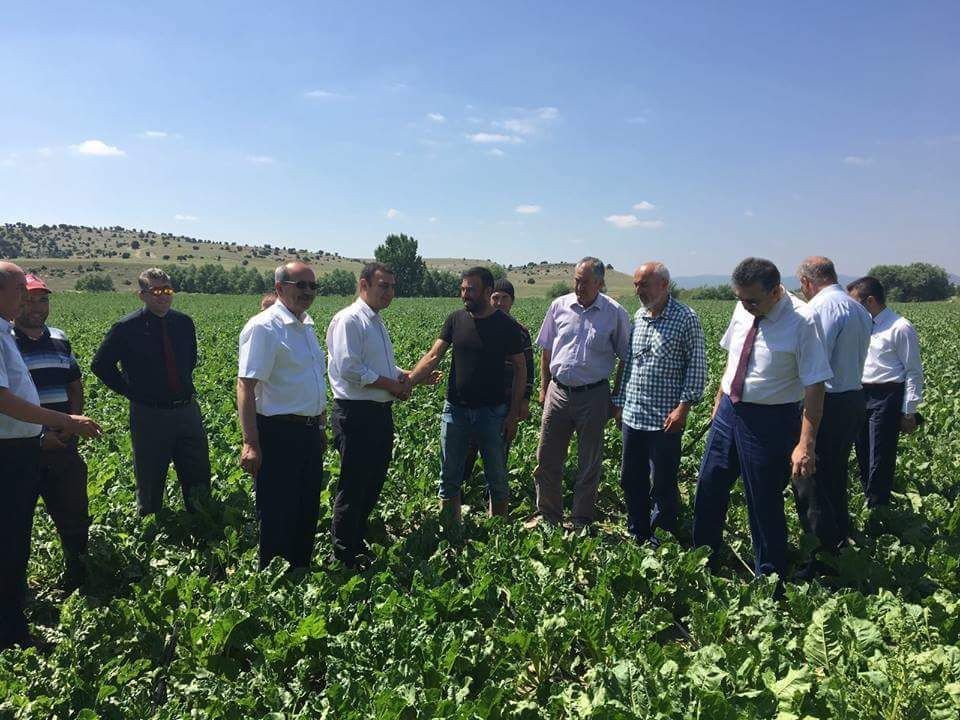 Tarla İçi Damla Sulama Sistemleri İlk Kez Aslanapa’da Uygulanıyor