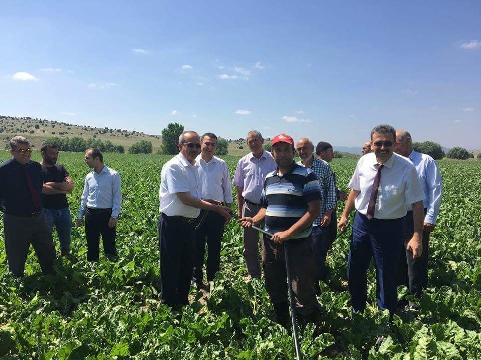 Tarla İçi Damla Sulama Sistemleri İlk Kez Aslanapa’da Uygulanıyor