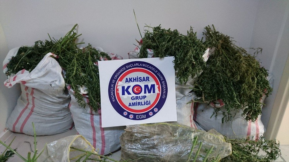 Narkotik Köpeği ‘Narko’ 294 Gram Esrar Yakaladı