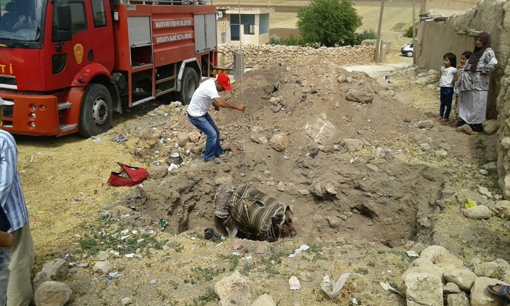 İtfaiyeden Eşek Kurtarma Operasyonu