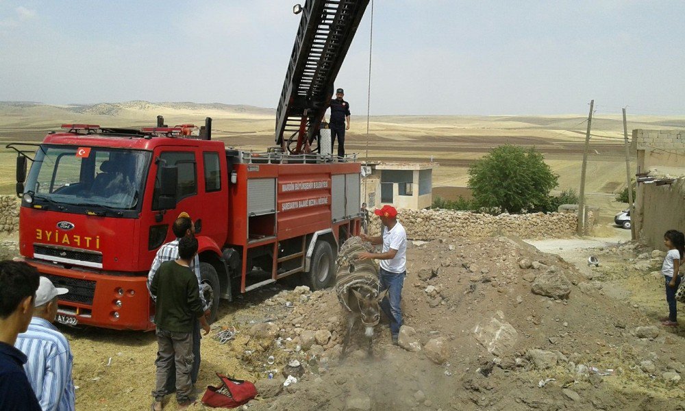 İtfaiyeden Eşek Kurtarma Operasyonu
