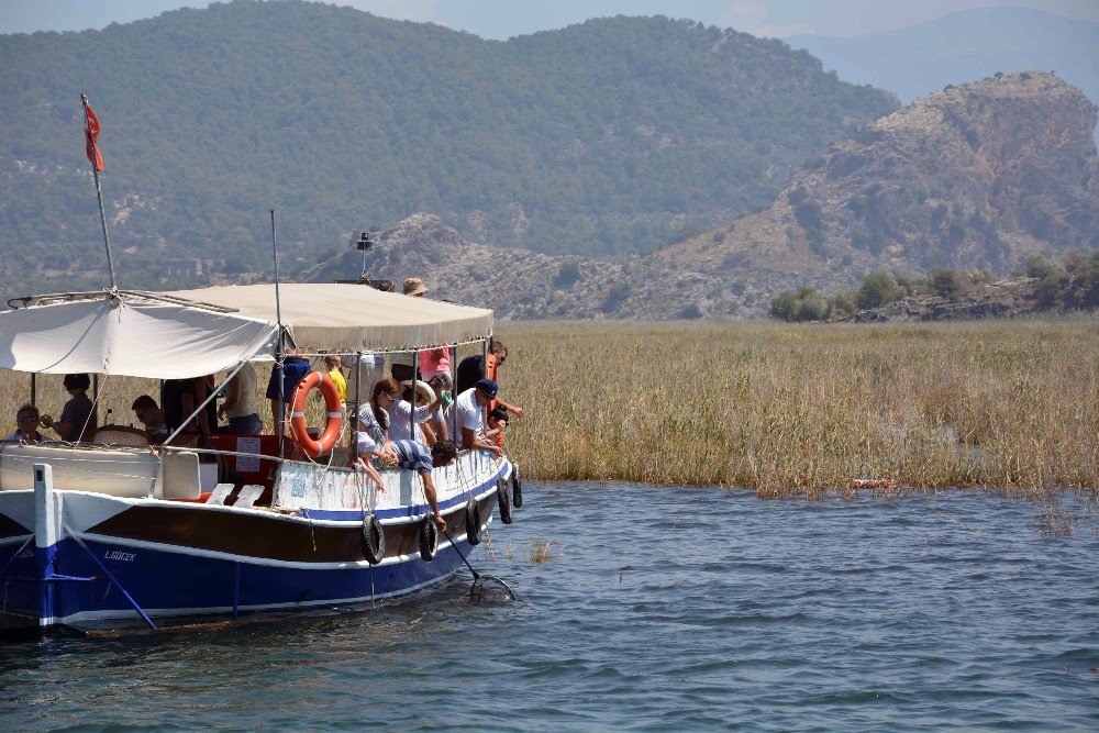 Tatilcilerin Yeni Gözdesi Mavi Yengeç Avlama Turları