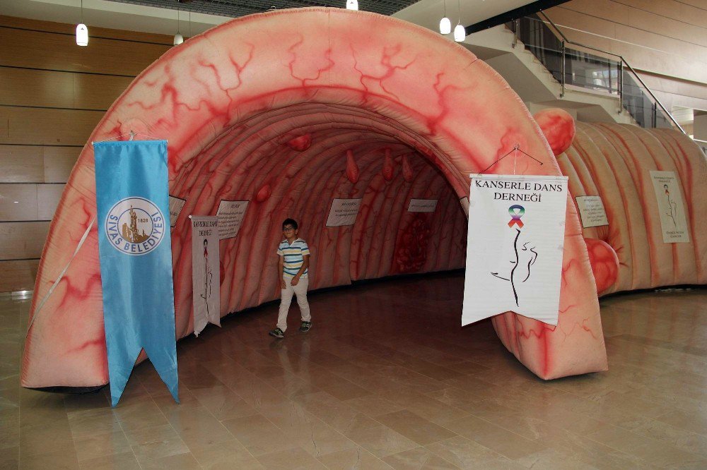 Dev Kalın Bağırsak Maketiyle Vatandaşlar Bilgilendirildi