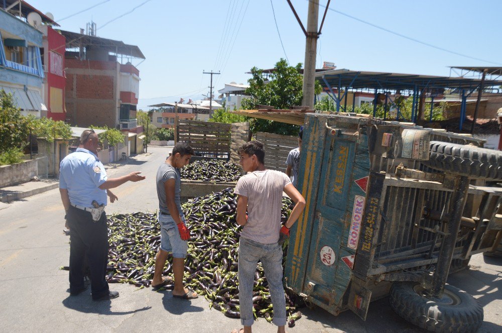 Kanalyolu Patlıcan Tarlasına Döndü