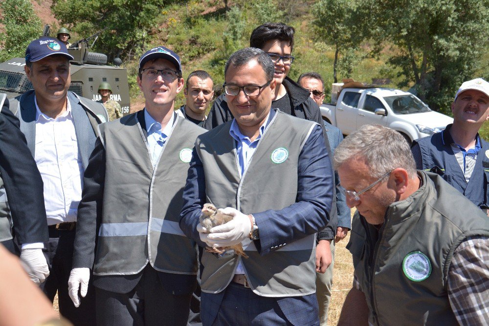 Giresun’da Doğaya 25 Bin Kınalı Keklik Salındı