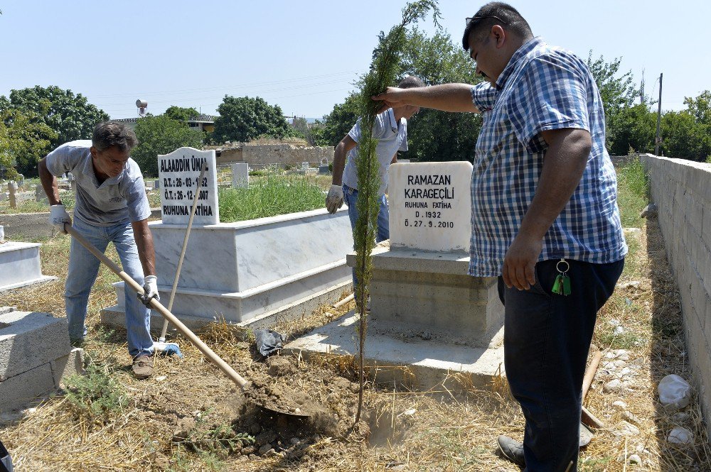 Talep Şanlıurfa’dan Hizmet Mersin Büyükşehir Belediyesi’nden