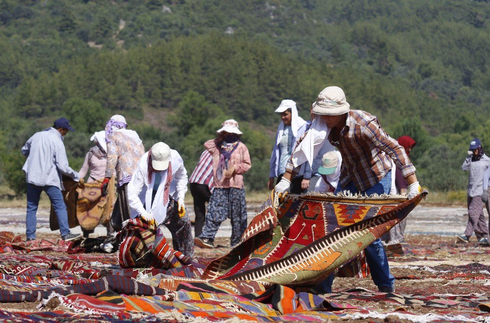 Antalya’da Milyonluk Halı Ve Kilim Tarlası