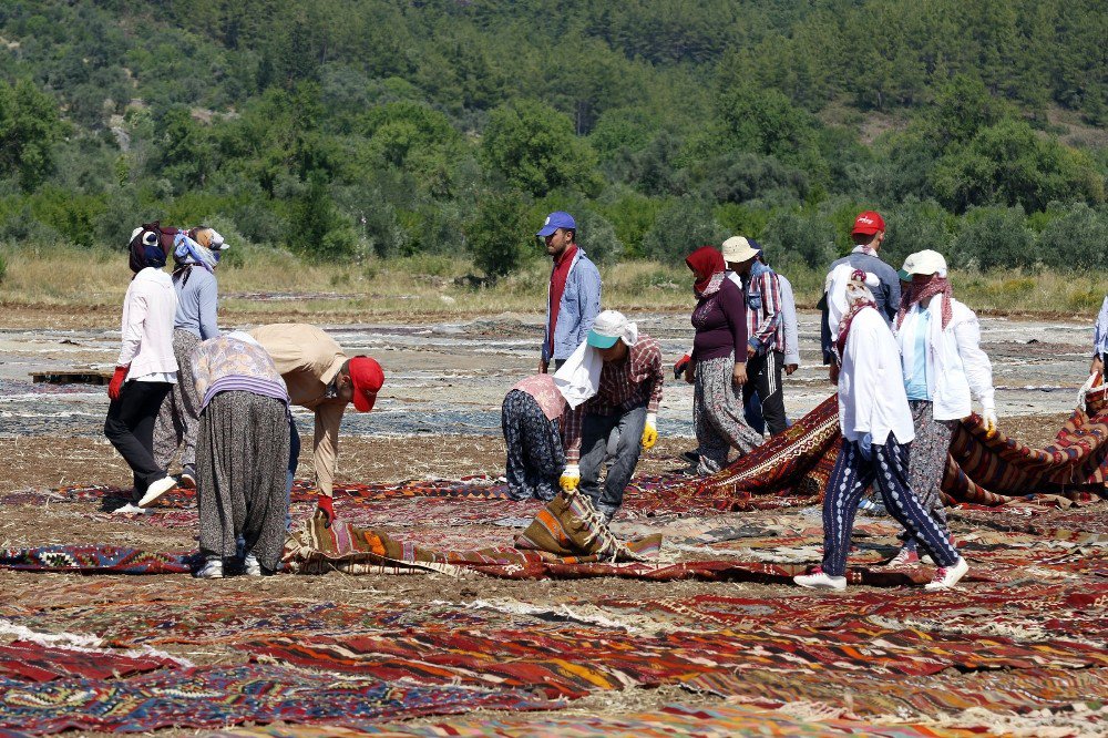 Antalya’da Milyonluk Halı Ve Kilim Tarlası