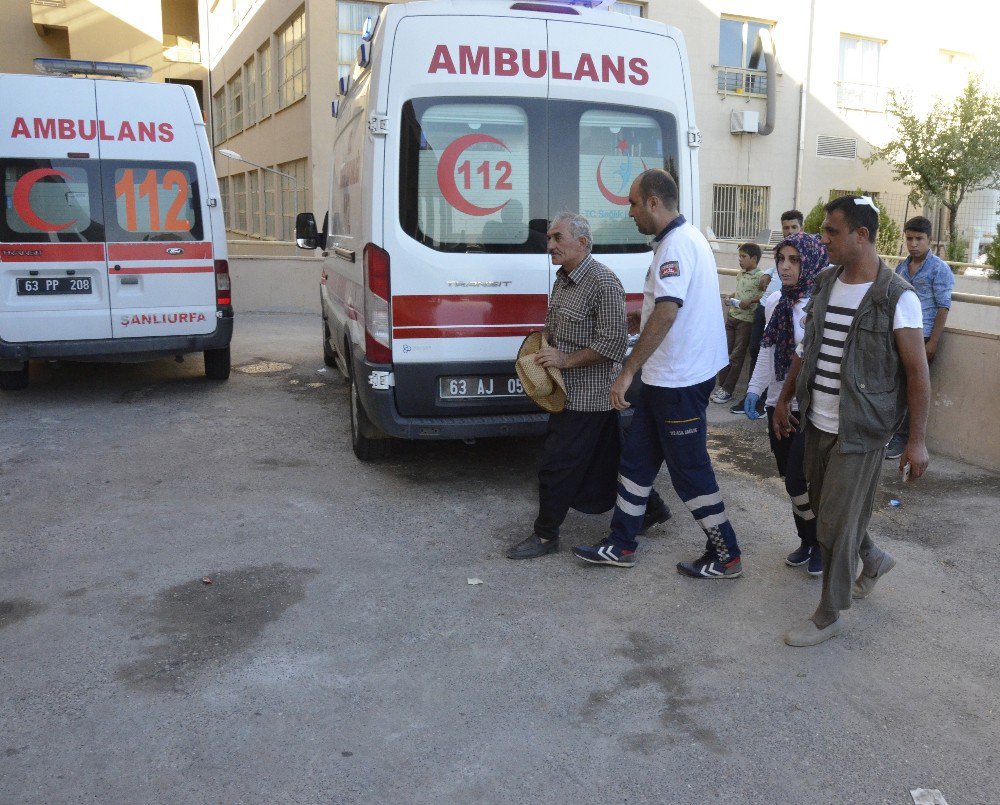 Akraba İki Aile Arasında Dut Ağacı Kavgası: 2 Yaralı