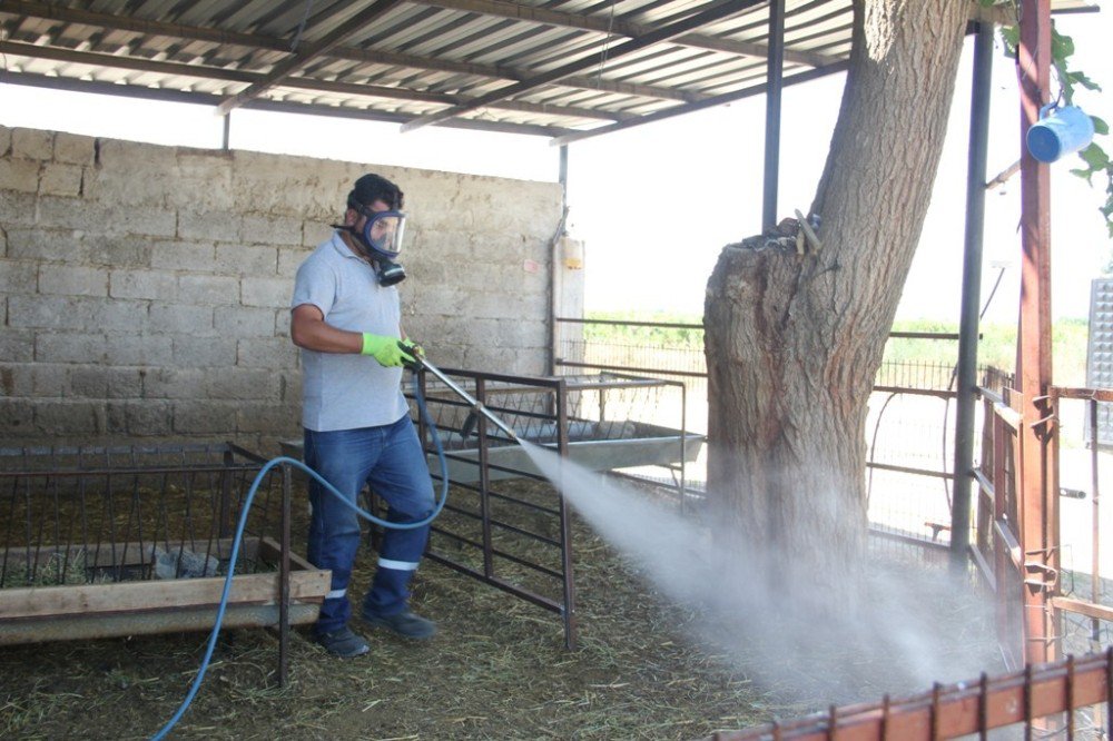 Sarıgöl’de Haşere İle Mücadele Devam Ediyor