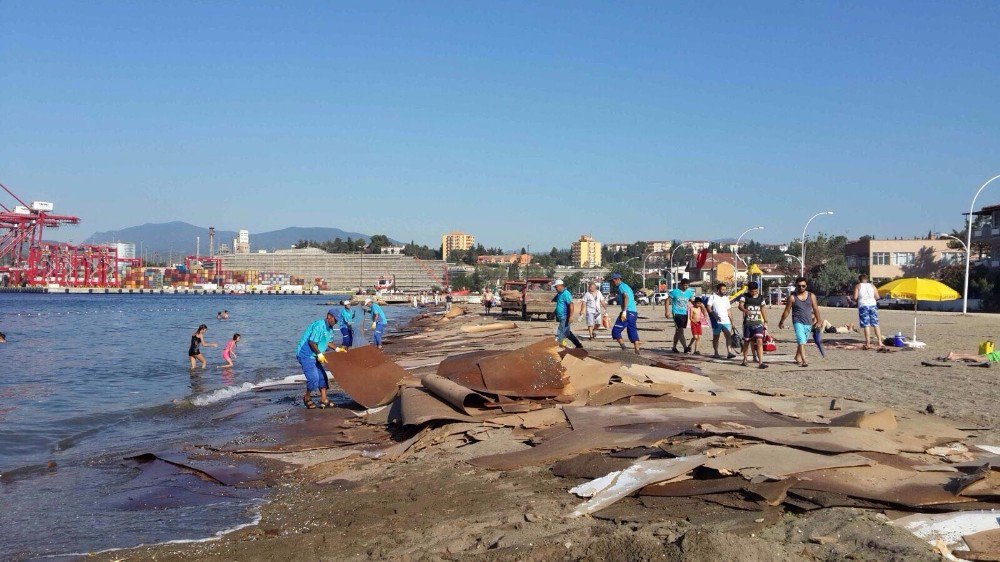 Kıyıya Vuran Suntaların Temizliğine Büyükşehir El Attı