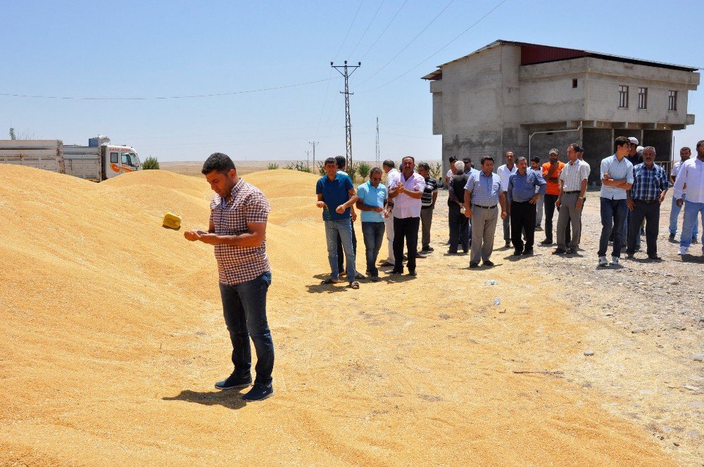 Çiftçilerin Birim Fiyatı Beklentileri Sürüyor