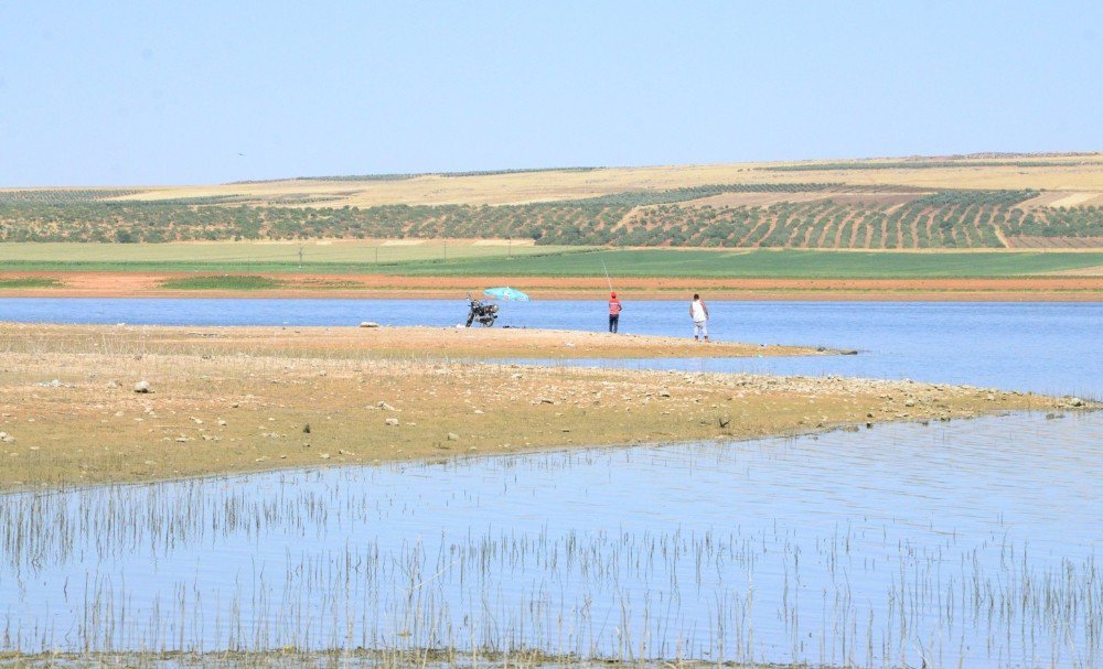 Gaziantep’te Korkutan Balık Ölümleri