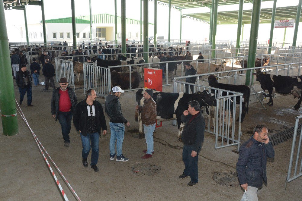 İzmit Belediyeden Küpe Uyarısı