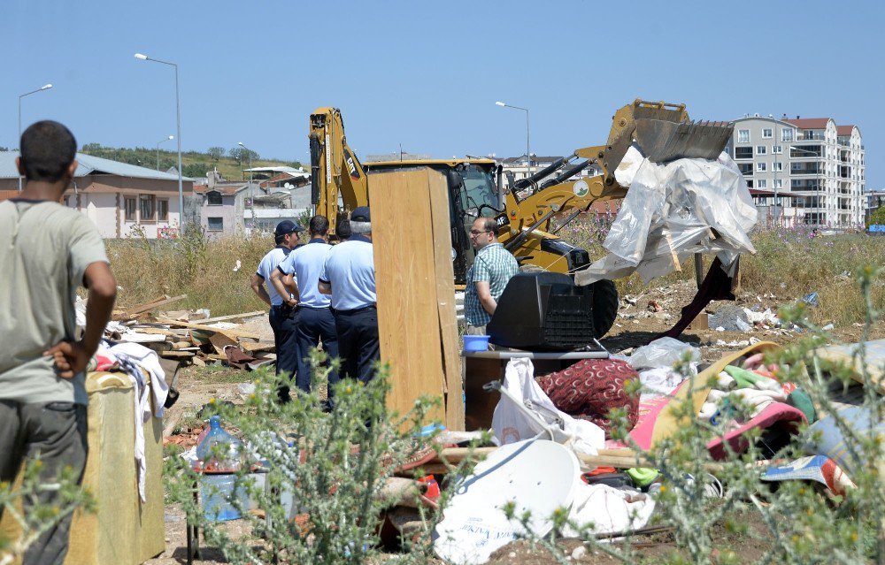 Kaçak Ahır Ve Barakalar Yıkıldı, Kuluçkaya Yatan Tavukları Zabıtalar Böyle Taşıdı