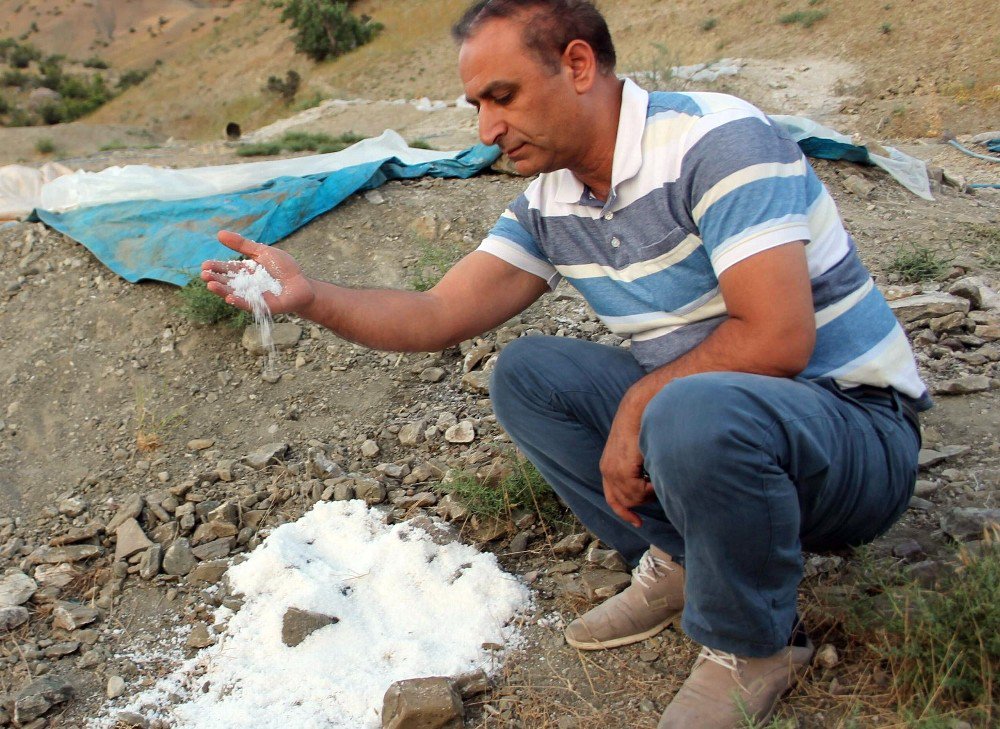 Siirt’te Kaya Tuzu Gençlerin Geçim Kaynağı Oldu