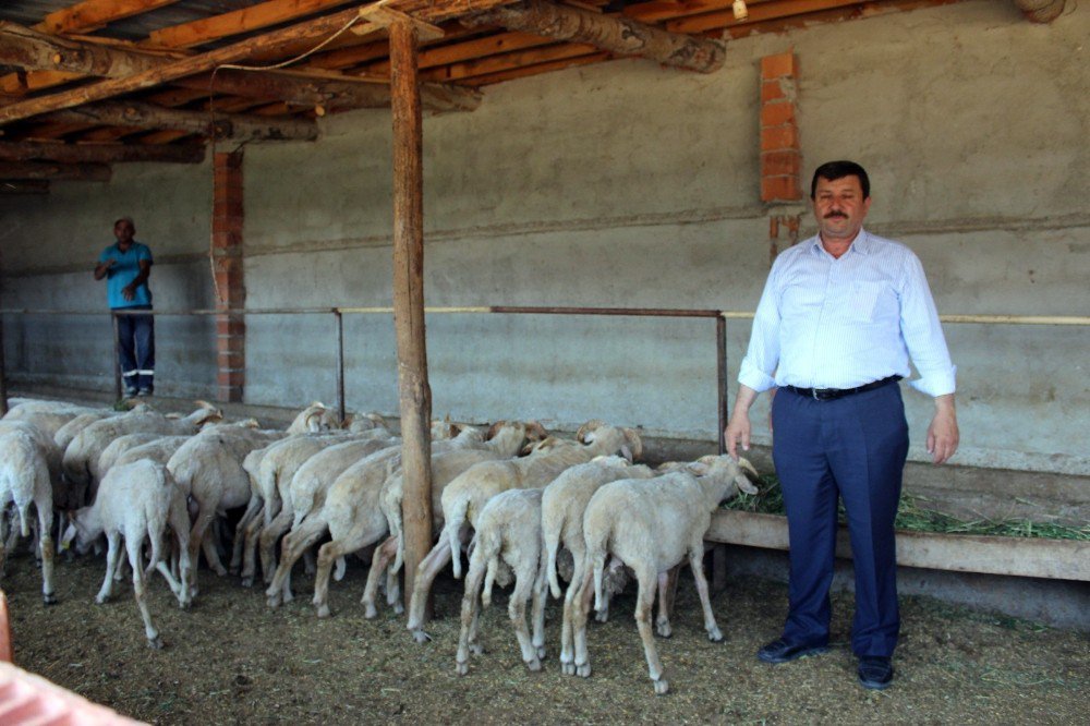 Kurban Bayramı Öncesi Hırsızlar İş Başında