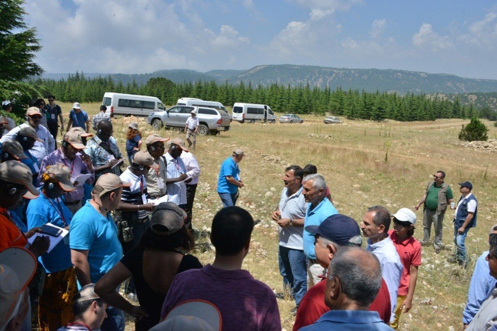 Afrikalı Ormancılara Türkiye’deki Ormancılık Faaliyetleri Anlatıldı