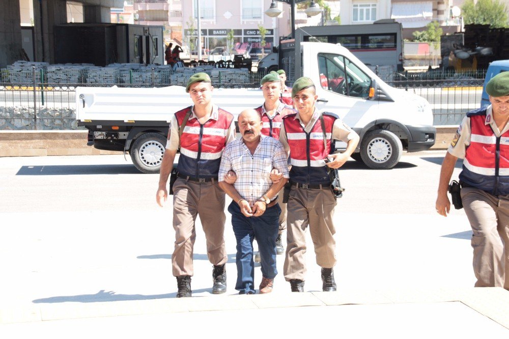 Mısır Tarlası İçinde Esrar Yetiştiren Şahıs Tutuklandı