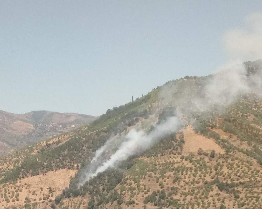 Nazilli’de 1 Hektar Tarım Arazisi Zarar Gördü