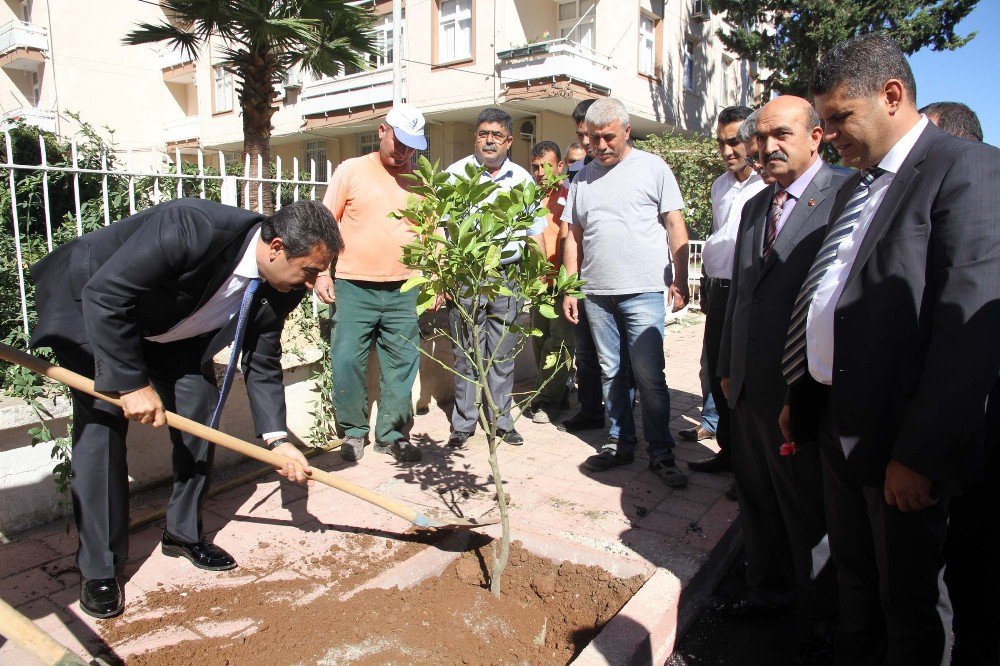 Çukurova’nın Parklarına Zeytin Fidanı