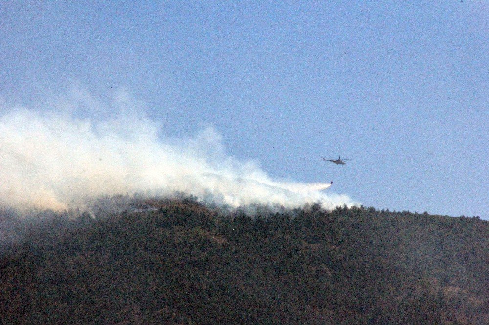 Hatay’daki Orman Yangını Kontrol Altına Alındı