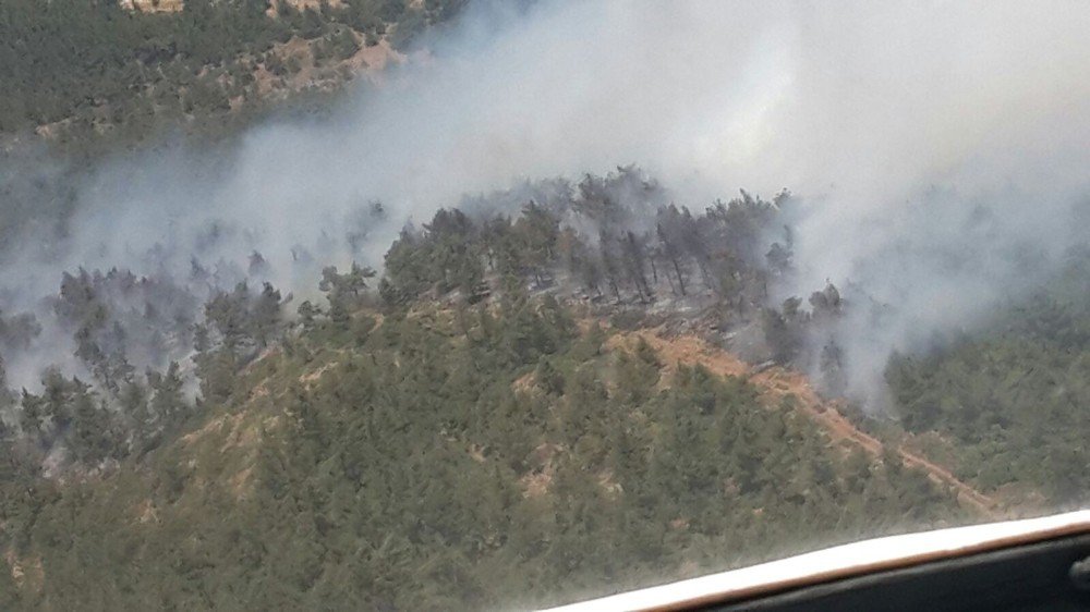 Hatay’da Orman Yangını