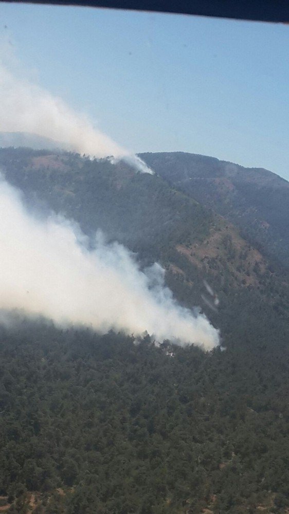 Hatay’da Orman Yangını