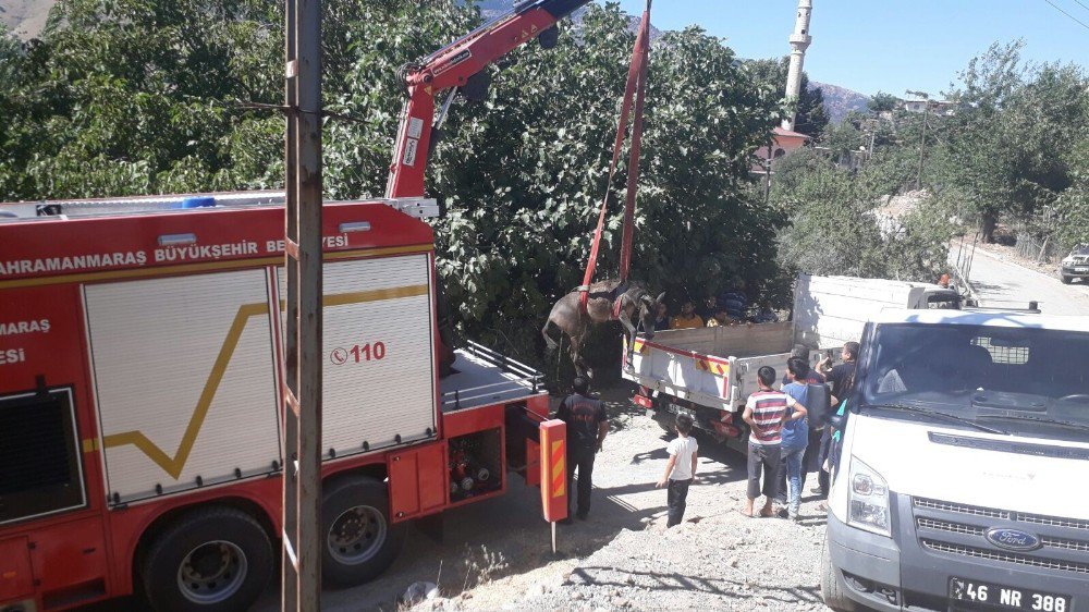 Ölmek Üzere Olan Atın İmdadına İtfaiye Yetişti