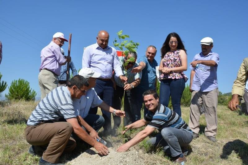 Selendi Ve Soma’da 15 Temmuz Hatıra Ormanı