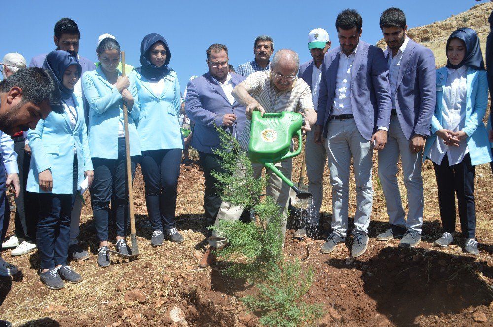 Mardin’de 15 Temmuz Şehitleri İçin Fidan Dikildi