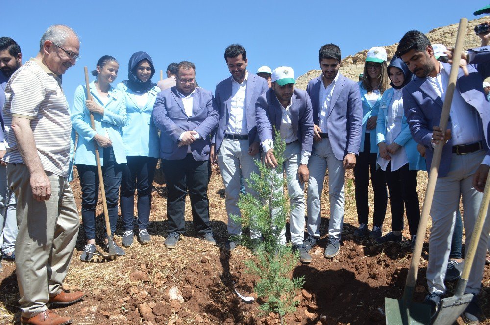 Mardin’de 15 Temmuz Şehitleri İçin Fidan Dikildi