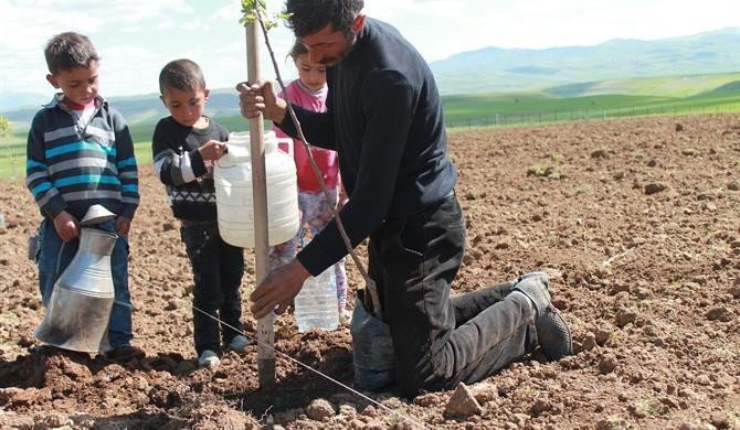 Gelecek İçin Yeni Umut Meyvecilik