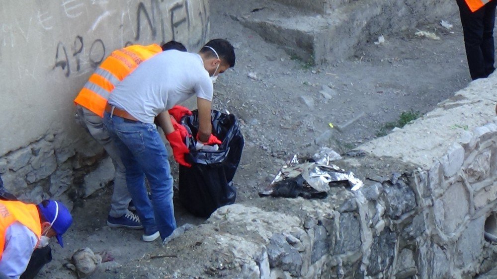 Hakkari’de Dere Yatakları Temizleniyor