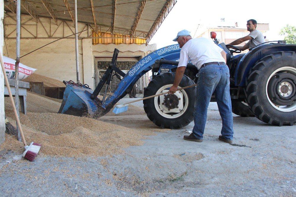 Buğday Ve Arpadaki Yüksek Rekolte Çiftçinin Yüzünü Güldürdü