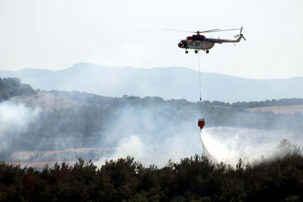 Tekirdağ’da 50 Hektar Ormanlık Alan Kül Oldu