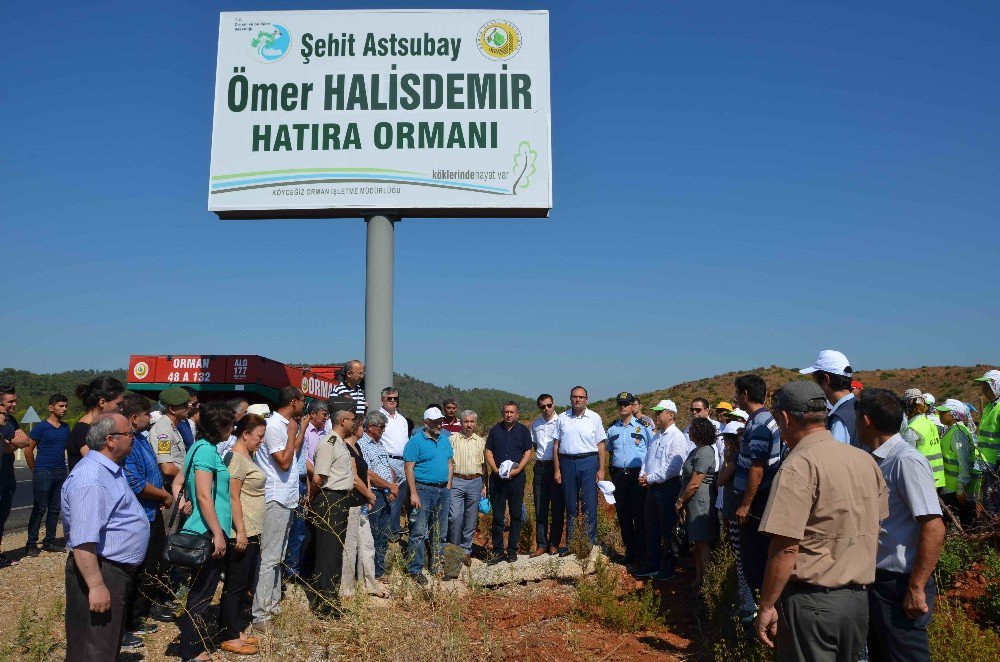 Köyceğiz’de 15 Temmuz Anma Etkinlikleri