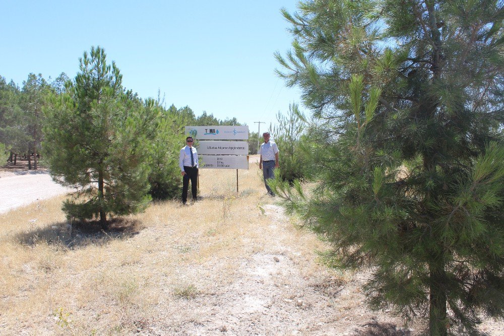 Adıyaman’da ‘81 İlde 81 Orman Projesi’ Amacına Ulaştı