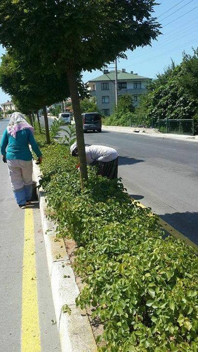 Akçakoca’da Peyzaj Çalışmaları Sürüyor