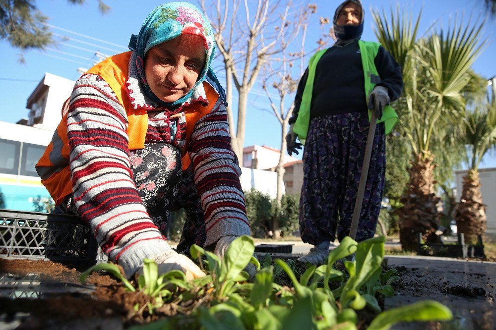 Buca Yeşile Bürünüyor